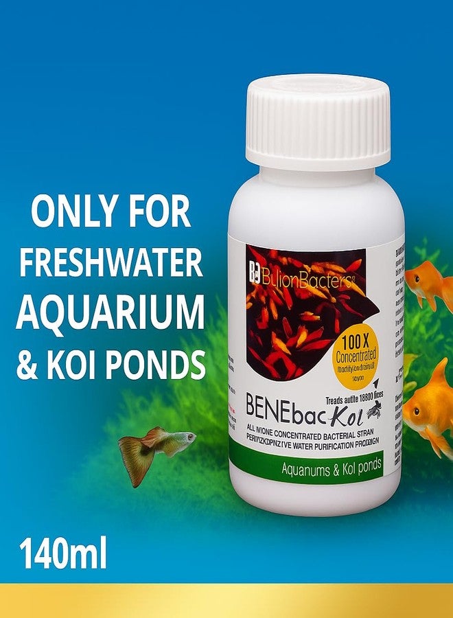 مليار بكتيريا بينيباك كوي - 140 مل | بروبيوتيك مُركّز 100 ضعف لتنقية المياه لأحواض أسماك الكوي وأحواض المياه العذبة | يقلل من الأمونيا والروائح الكريهة ومسببات الأمراض - Image 5